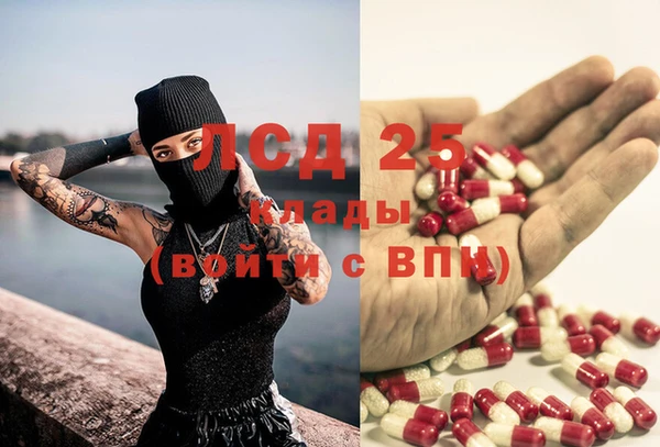 гашик Волосово