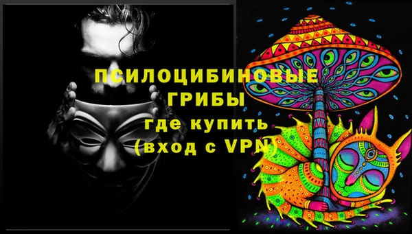 гашик Волосово