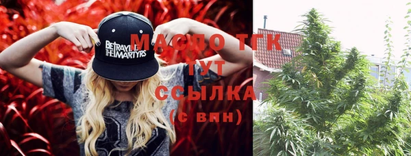 гашик Волосово